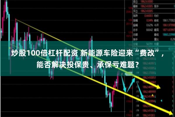 炒股100倍杠杆配资 新能源车险迎来“费改”，能否解决投保贵、承保亏难题？