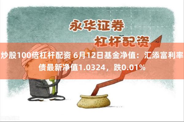 炒股100倍杠杆配资 6月12日基金净值：汇添富利率债最新净值1.0324，跌0.01%