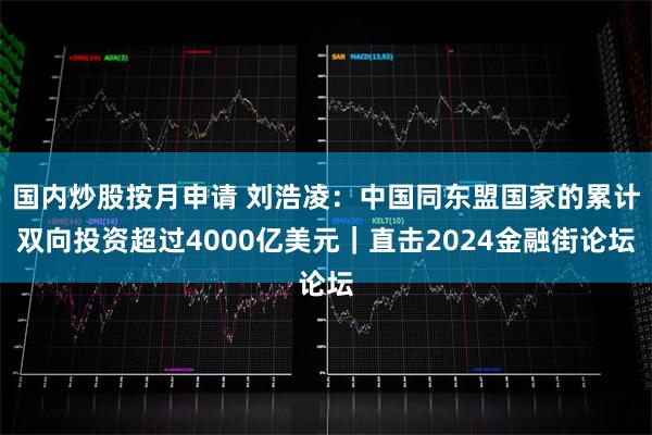 国内炒股按月申请 刘浩凌：中国同东盟国家的累计双向投资超过4000亿美元｜直击2024金融街论坛