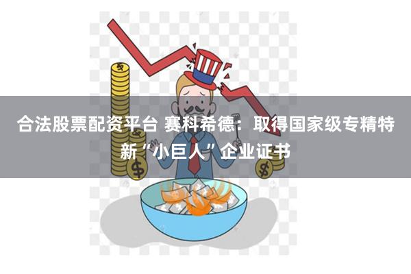 合法股票配资平台 赛科希德：取得国家级专精特新“小巨人”企业证书